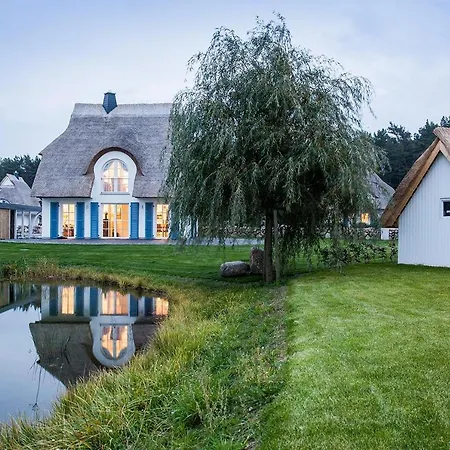 Schilfrohrsaenger 18 *