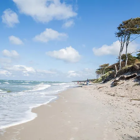 Schilfrohrsaenger 18 * Fuhlendorf (Mecklenburg-Vorpommern)