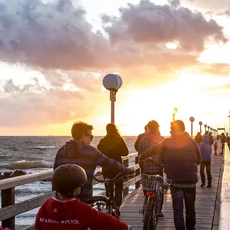 Schilfrohrsaenger 18