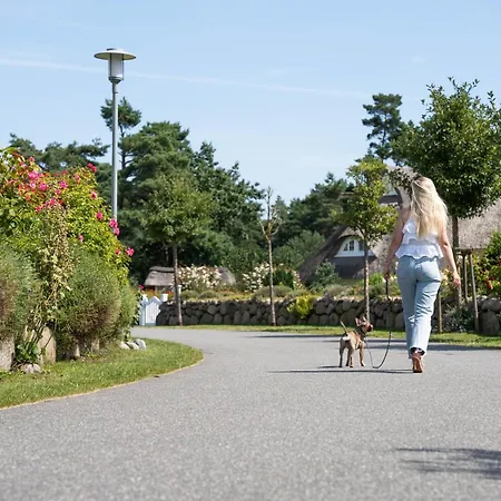 Schilfrohrsaenger 18 *